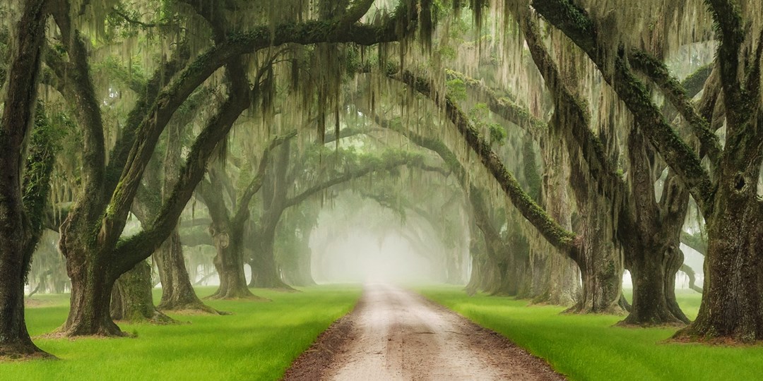 South Carolina Urlaub mit SüdstaatenIdylle Travelzoo