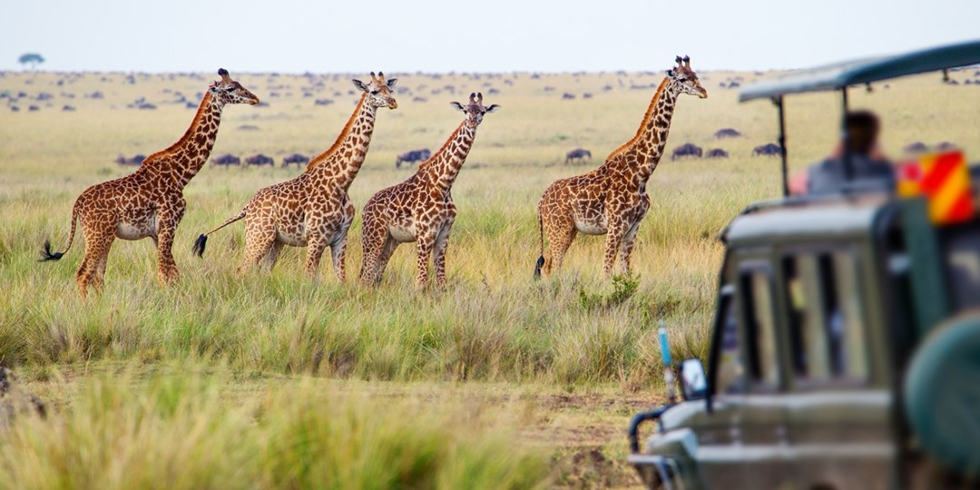 Perfektes Badewetter Kenia mit Al & Flug Travelzoo