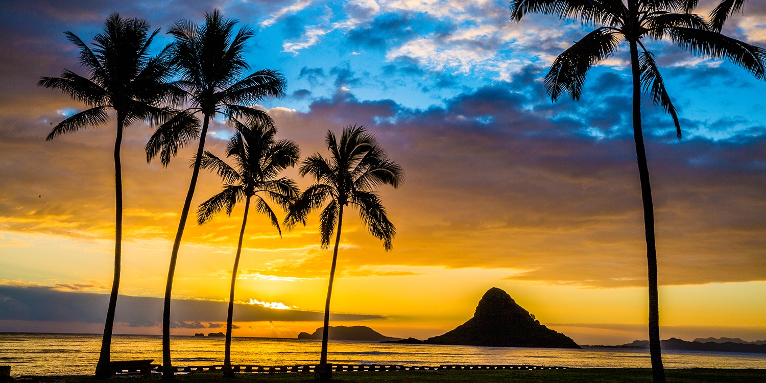 本当は教えたくないハワイの隠れ家ビーチ4選 | トラベルズー