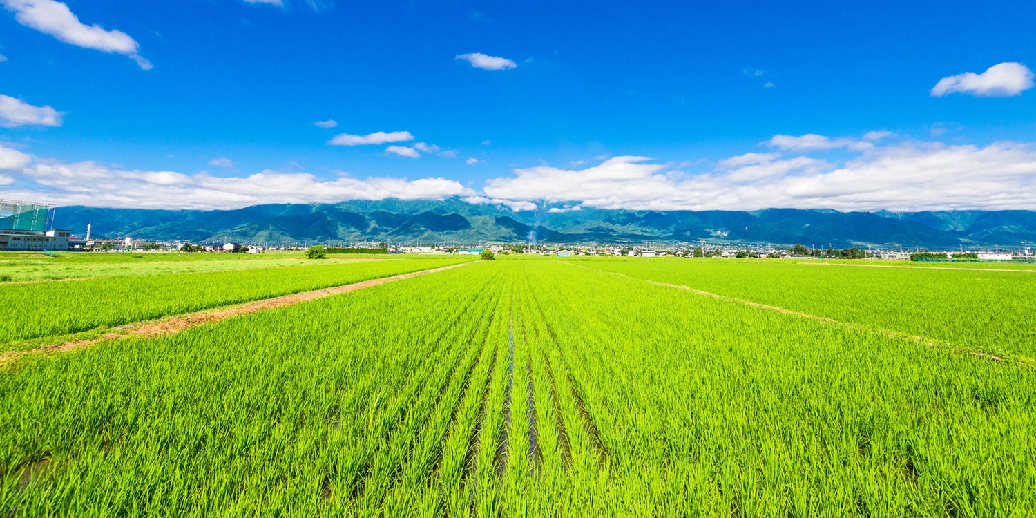 日本の原風景に癒される旅 長野 安曇野 トラベルズー