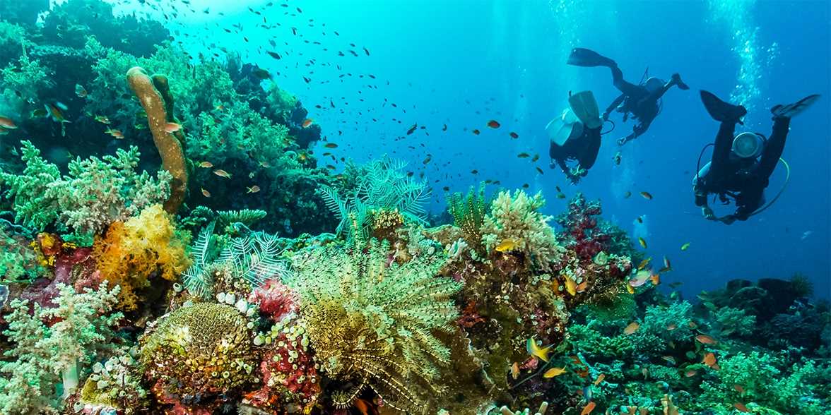 Top Travelzoo旅游族