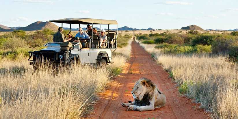 Afbeeldingsresultaat voor south africa panorama safari