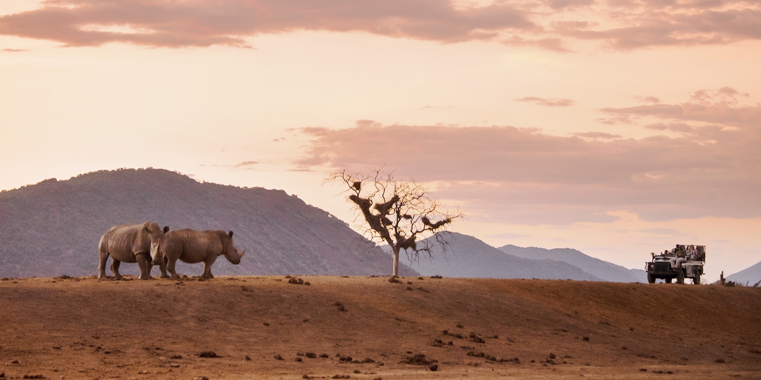 African Safari Landscapes