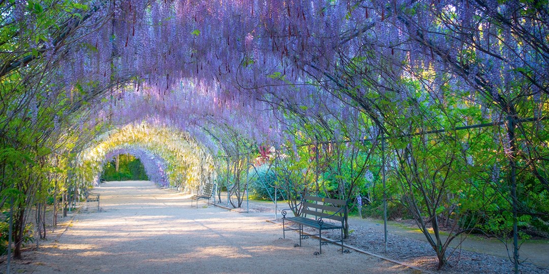 Things to do South Australia Travelzoo