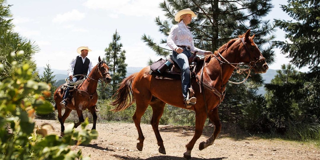 49—California All-Inclusive Dude Ranch, common 08