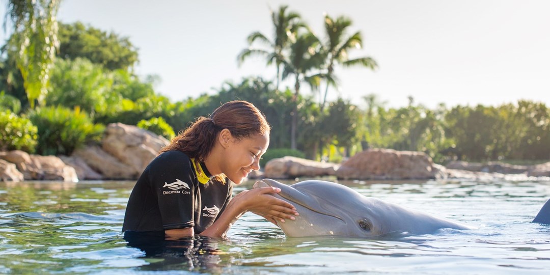 Discovery Cove Day Resort in Orlando Travelzoo