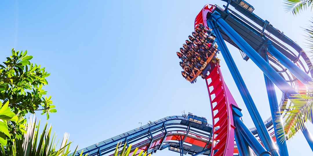 Ride Busch Gardens Tampa Bay's newest coaster Travelzoo