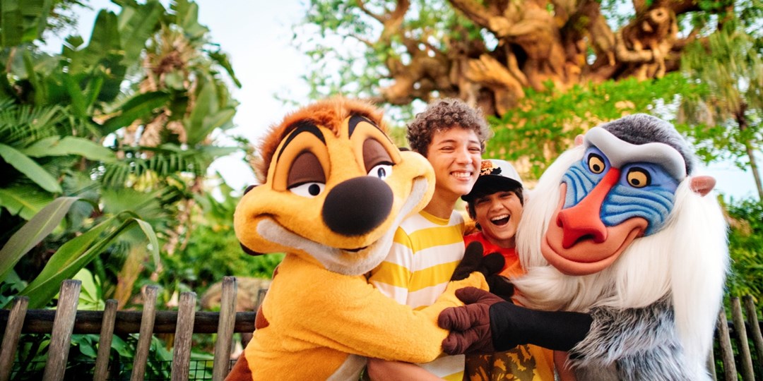 249 & up—Walt Disney World Resort 3Day, 3Park Tickets Travelzoo