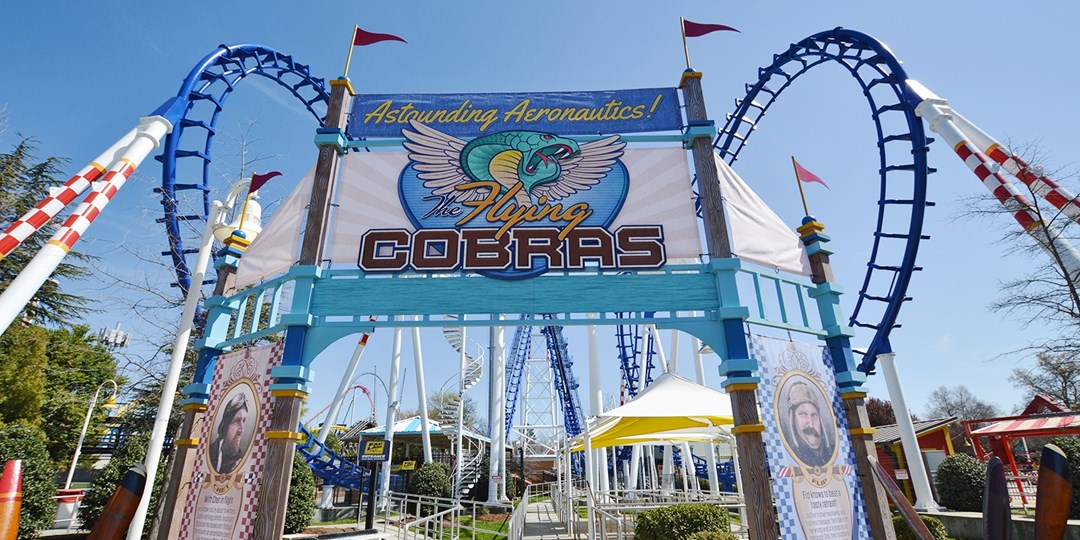 carowinds bumper cars