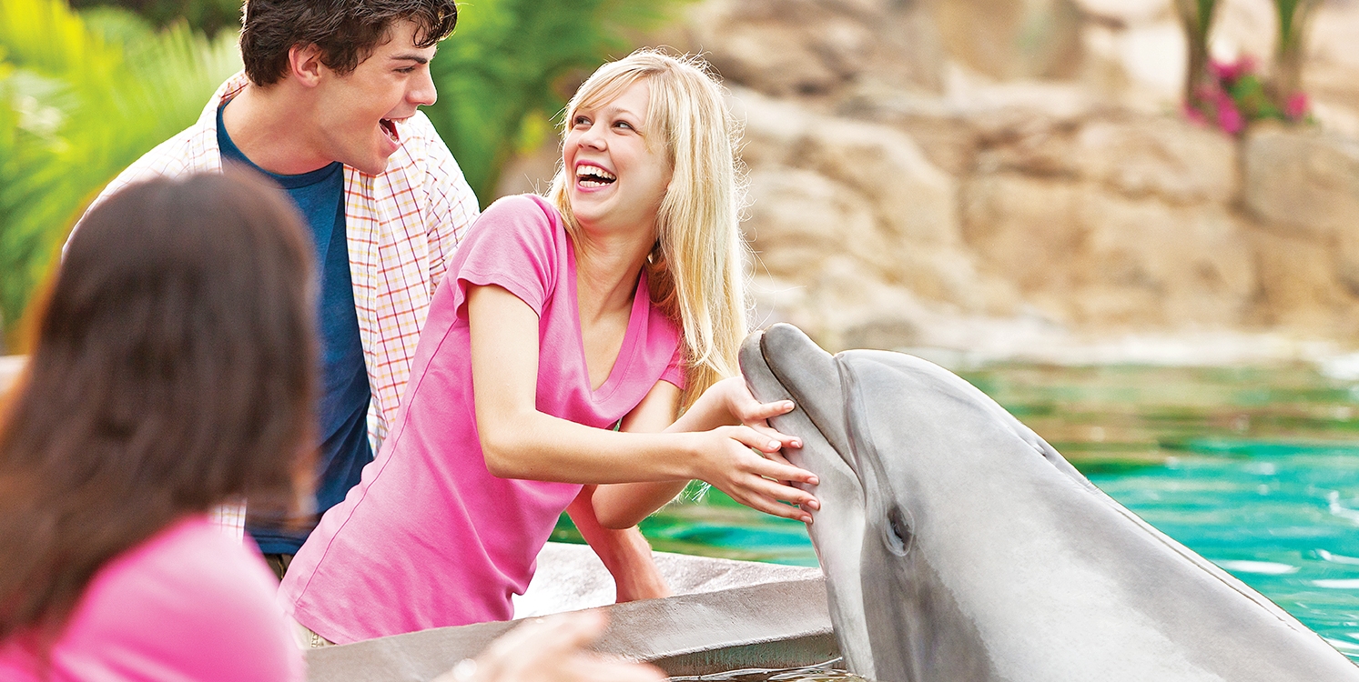 SeaWorld Orlando Admission, Reg. $100 | Travelzoo