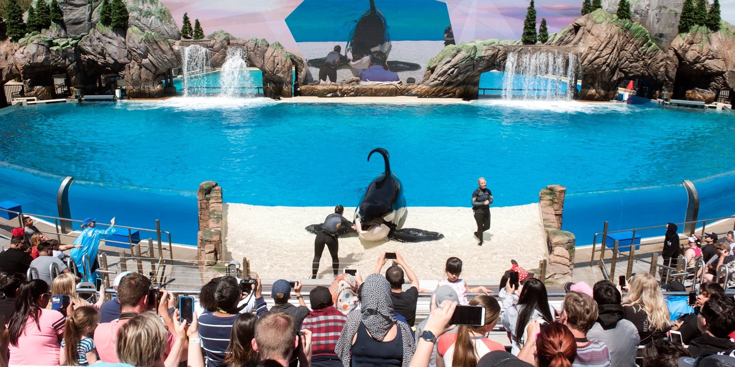 SeaWorld San Diego Admission Reg 91 Travelzoo seaworld-san-diego-admission-reg-91-travelzoo
