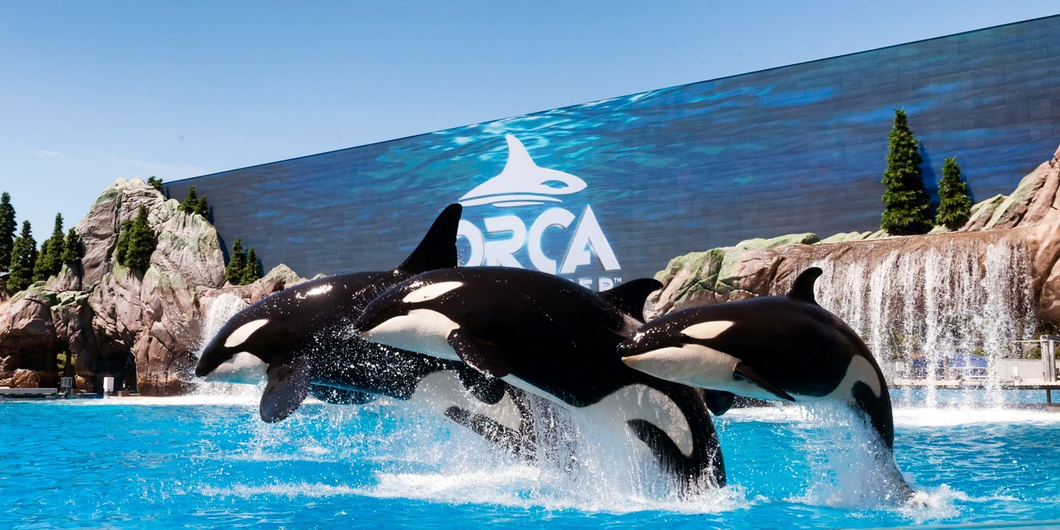 SeaWorld San Diego Admission, Reg. 91 Travelzoo