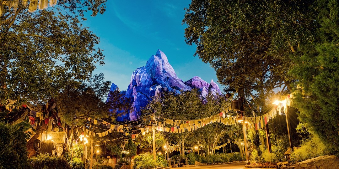 Walt Disney World Resort Theme Park Admission into 2021 