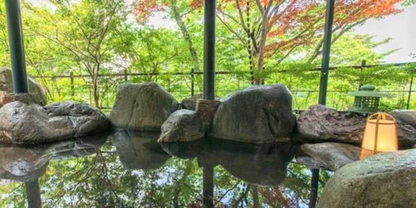 特急込 鬼怒川温泉2日間 6つのお風呂で湯を愉しめる温泉ホテル泊 2食 庭園貸切露天風呂1回 トラベルズー