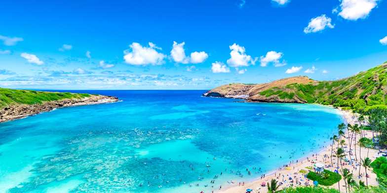 ハワイ オアフ島60分オンラインツアー 全米ベストビーチからの生中継や臨場感溢れる東海岸ビーチドライブも トラベルズー