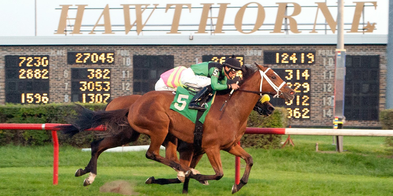 29 Hawthorne Race Course Races This Weekend w/Buffet Travelzoo