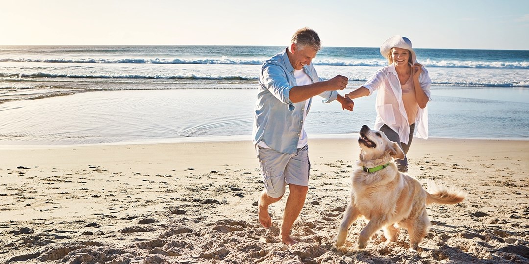 Discounts on PetFriendly Myrtle Beach Hotels Travelzoo