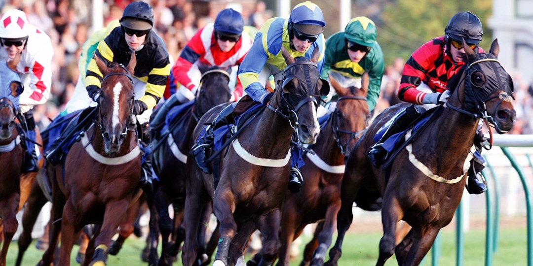 Horse racing Day for 2 at Lingfield Park Travelzoo