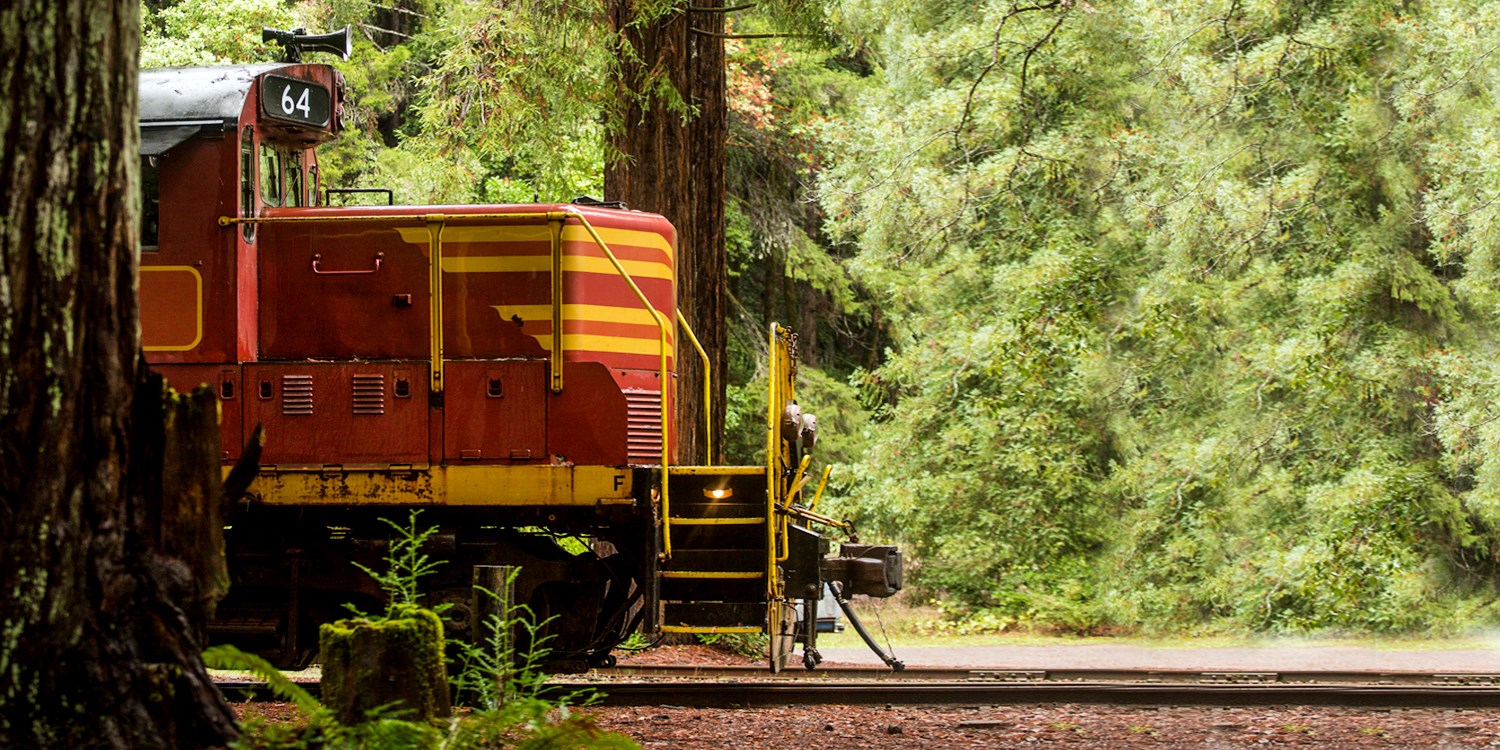 Historic Skunk Train Ride through the Redwoods, Reg. $84 | Travelzoo