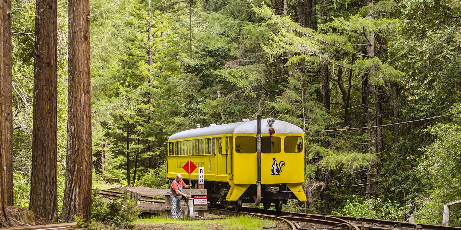 Historic Skunk Train Ride through the Redwoods, Reg. $84 | Travelzoo