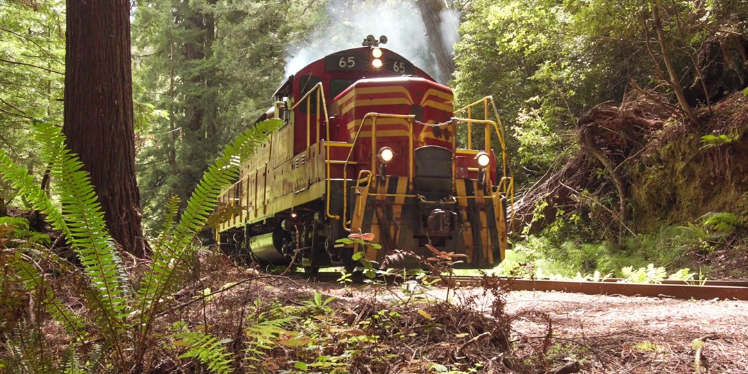 Skunk Train Ride thru California Redwoods | Travelzoo