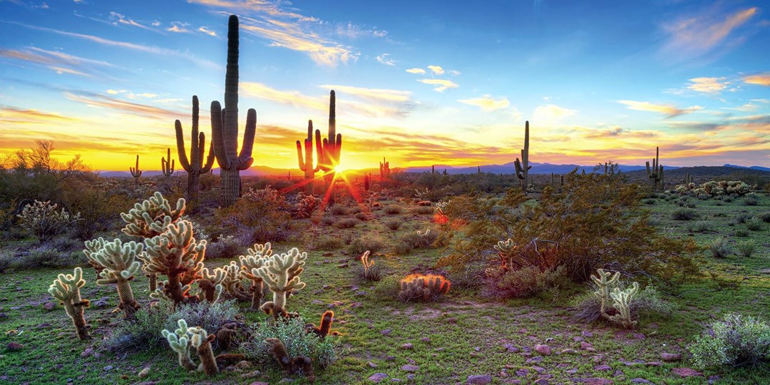 Reasons to Release Your Inner Cowboy at the Ritz-Carlton Dove Mountain ...