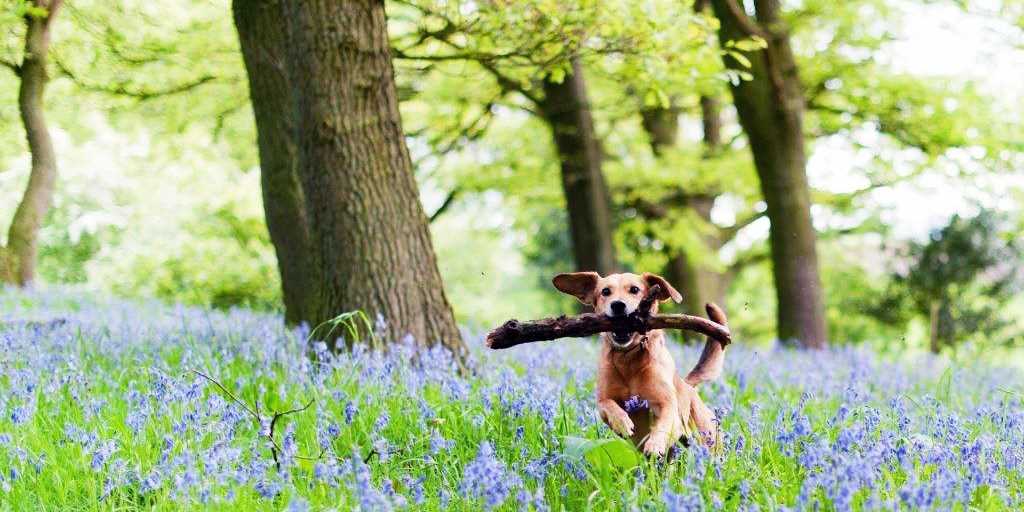 Ireland Holidays 2020 2021 Travelzoo