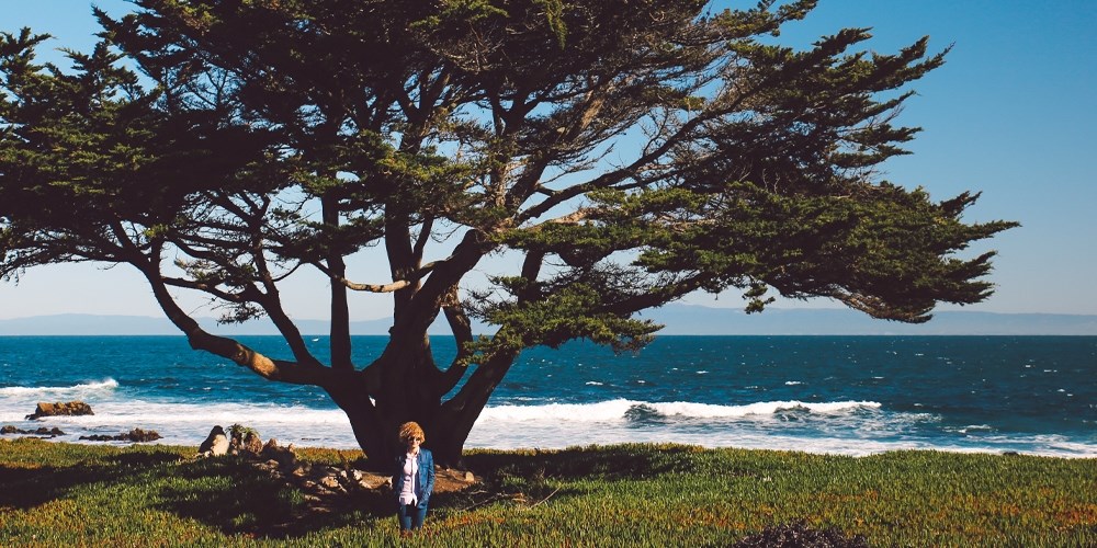 145 دولارًا – إقامة في مونتيري بالقرب من الشاطئ، بخصم يصل إلى 180 دولارًا