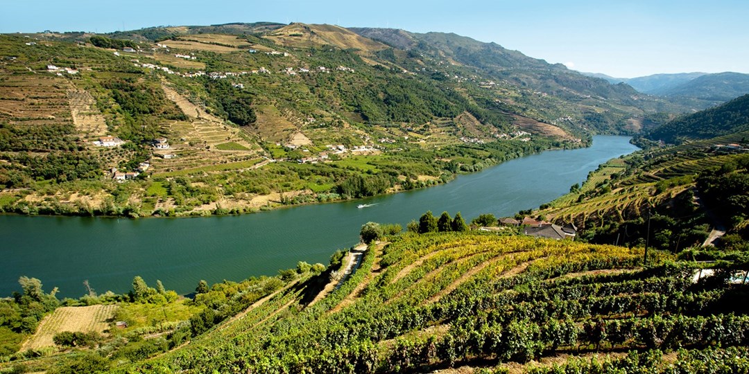 Douro Valley Discover Portugal's Untouched Wine Region Travelzoo