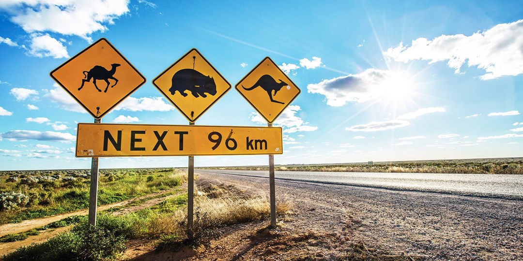 Südaustralien Wo Abenteuer auf Genuss trifft Travelzoo