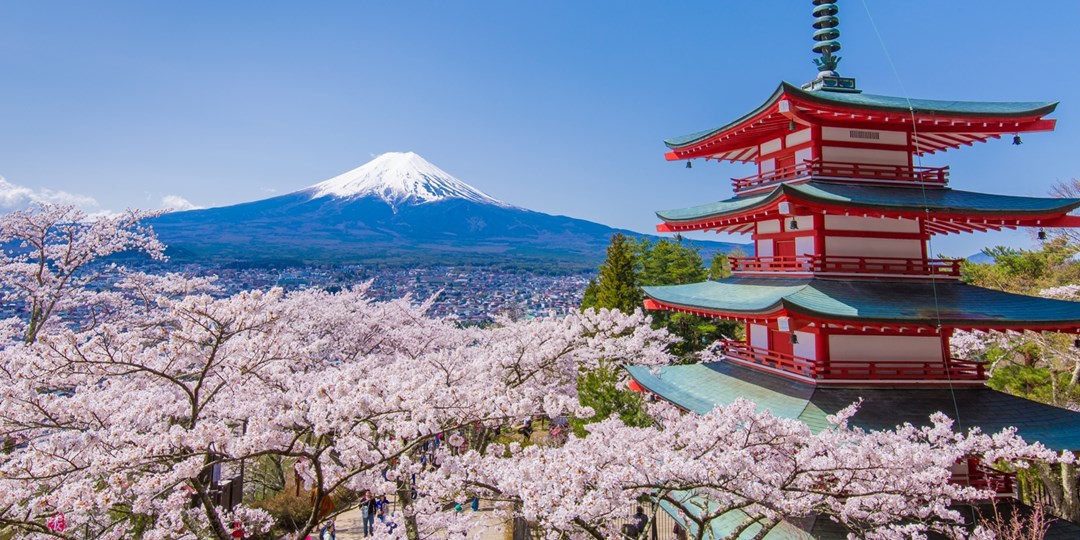 Japan cherry blossom cruise, Mt Fuji tour & Asia stays Travelzoo