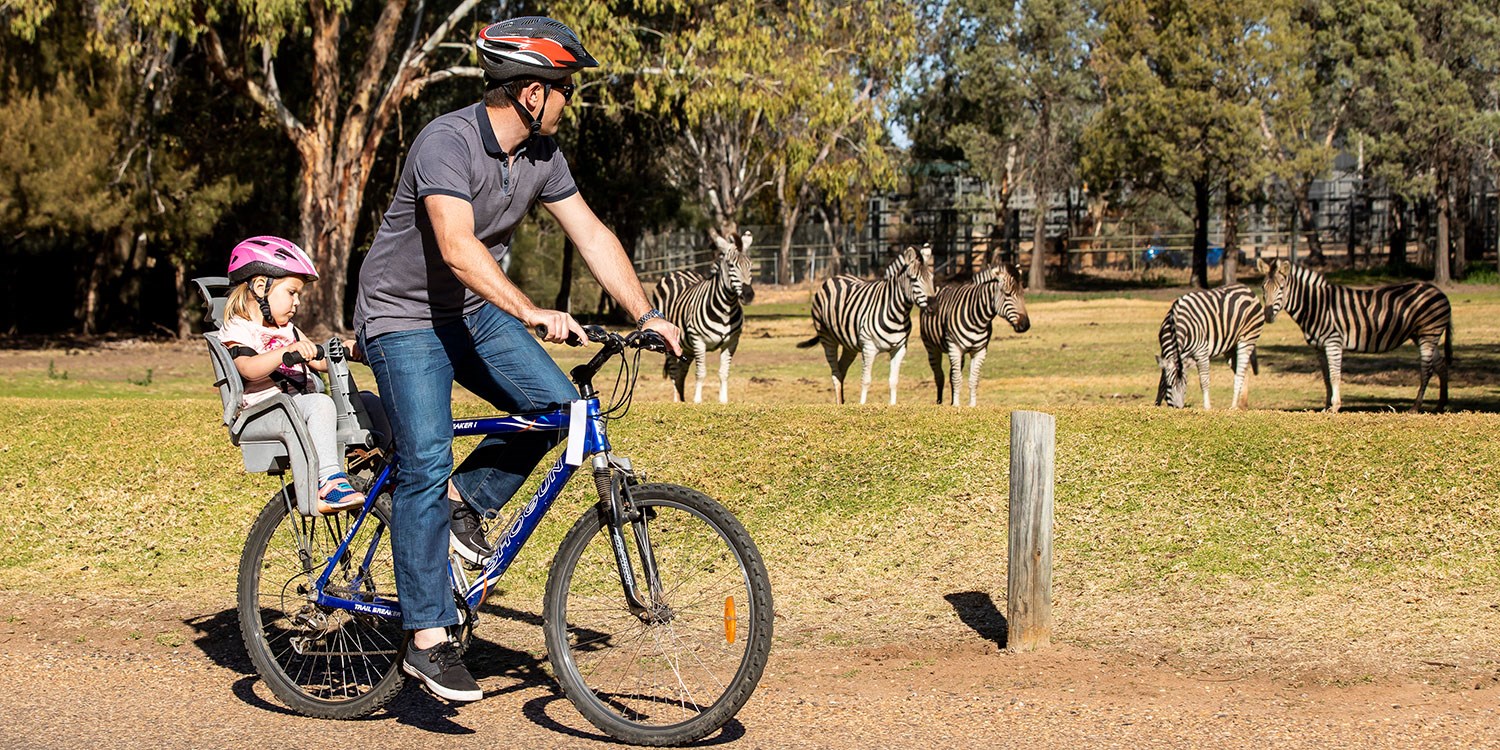 Dubbo: Taronga Zoo Stay w/Entry, 44% off | Travelzoo