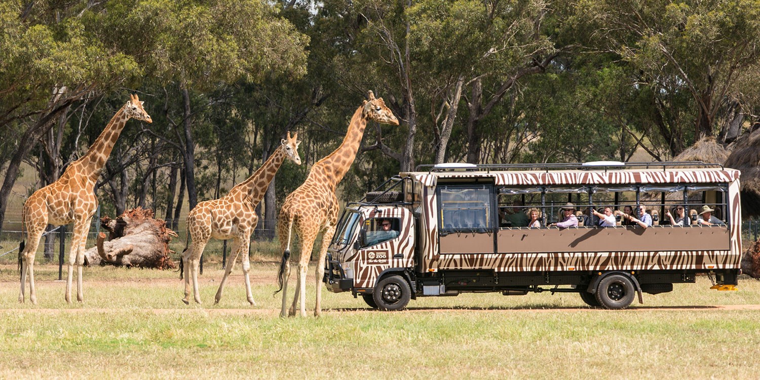 Dubbo: Taronga Zoo Stay w/Entry, 44% off | Travelzoo