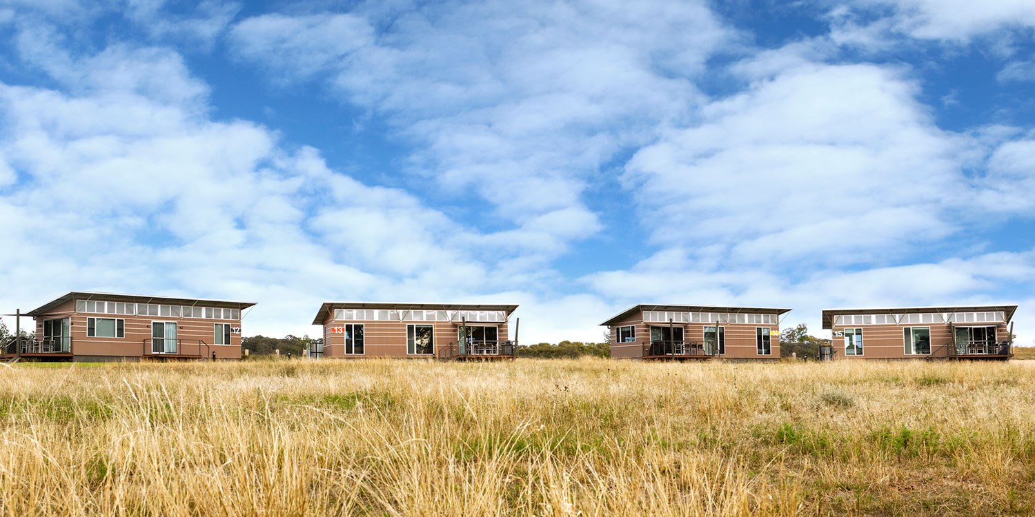 Dubbo: Taronga Zoo Stay w/Entry, 44% off | Travelzoo