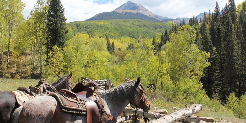 899-colorado-ranch-3-night-adventure-w-meals-reg-1425-travelzoo