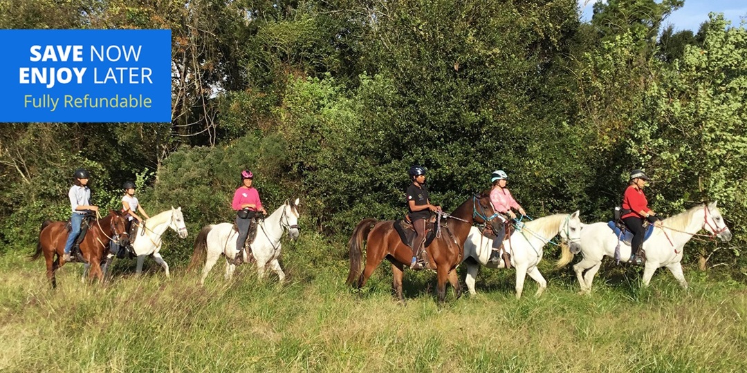 106 Take a Horseback Trail Ride along Cypress Creek Travelzoo