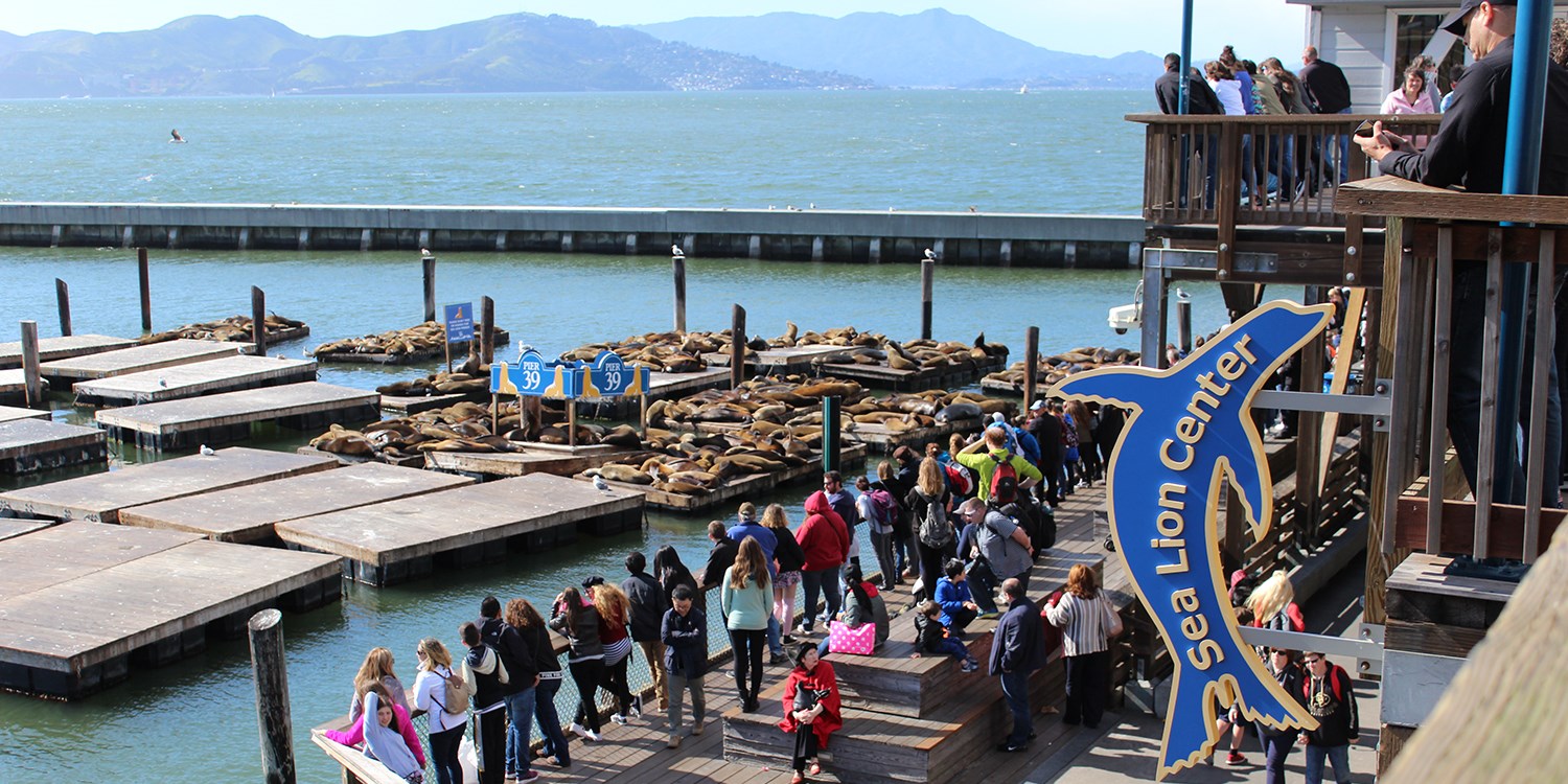 19.45 Aquarium of the Bay Visit Any Day of 2019, Reg. 28 Travelzoo