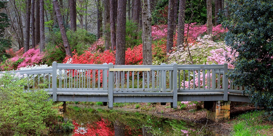 $159 – Callaway Gardens Stays through February, Reg. $339 | Travelzoo