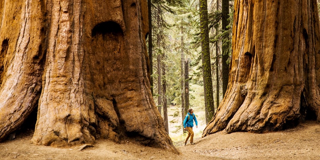 179 دولارًا – ملاذ سونوما مع زجاجة من النبيذ، وفر 170 دولارًا