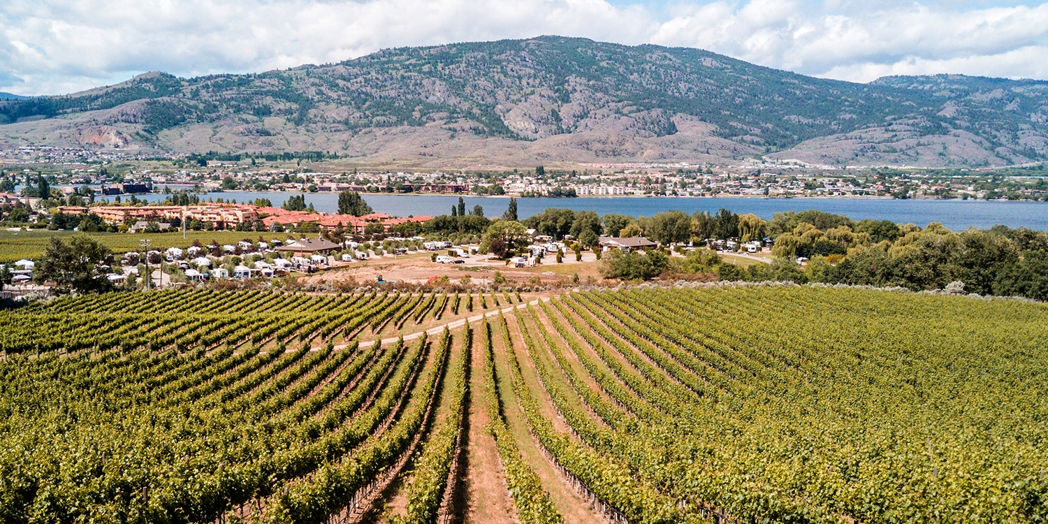 Coyote's Gift Shop - Destination Osoyoos