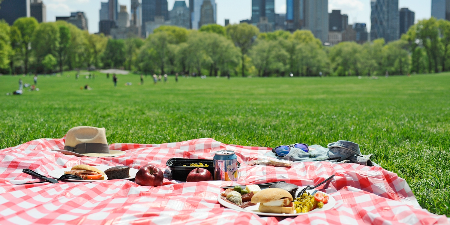 39 NYC Central Park Picnic for 2 in Summer Travelzoo