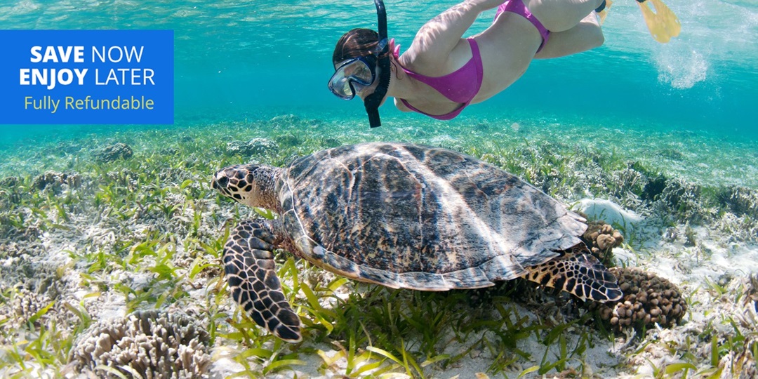 $115 - Snorkeling Lessons for 2 near West Palm Beach | Travelzoo