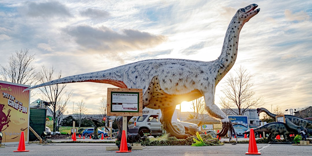 Drive Thru Dinosaur Safari Experience In Cleveland Travelzoo Drive Thru Dinosaur Safari Experience In Cleveland Travelzoo