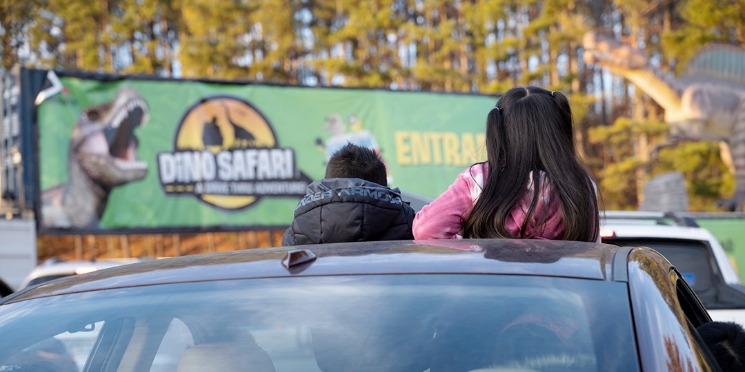 Drive Thru Dinosaur Safari Experience In Cleveland Travelzoo Drive Thru Dinosaur Safari Experience In Cleveland Travelzoo