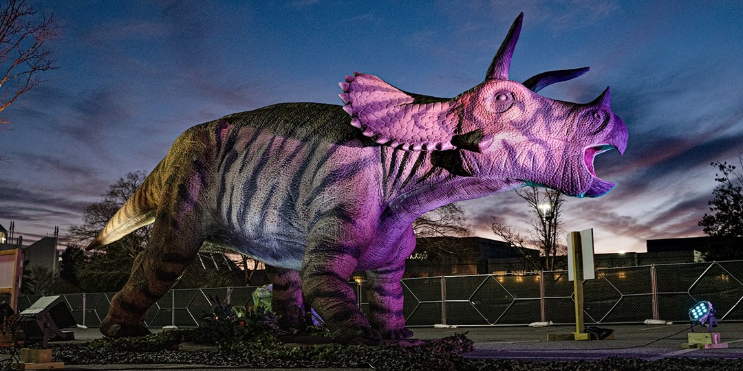 Drive Thru Dinosaur Safari Experience In Cleveland Travelzoo Drive Thru Dinosaur Safari Experience In Cleveland Travelzoo