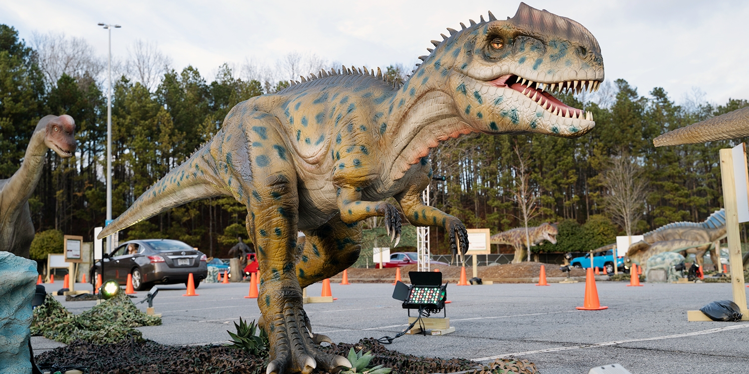 drive thru safari near me drive thru safari near me