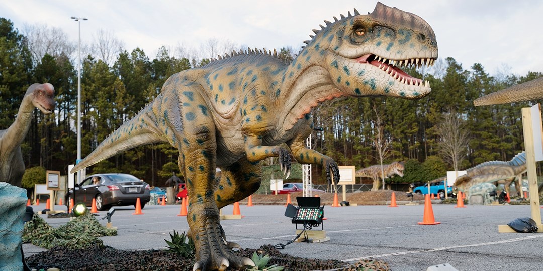 Drive-Thru Dinosaur Safari Experience in Syracuse Travelzoo 