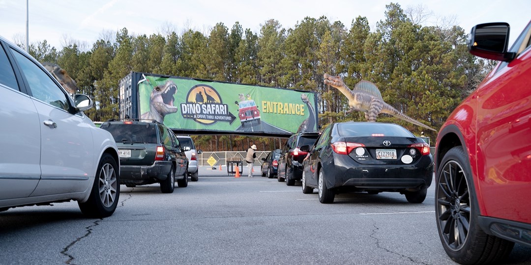 Drive Thru Dinosaur Safari Experience In Cleveland Travelzoo