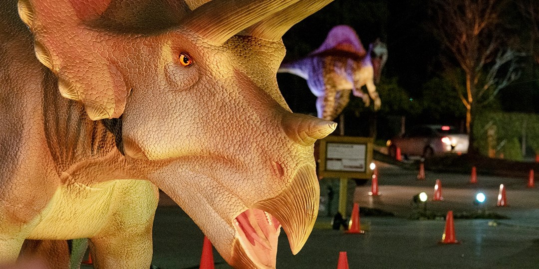Drive Thru Dinosaur Safari Experience In Cleveland Travelzoo Drive Thru Dinosaur Safari Experience In Cleveland Travelzoo