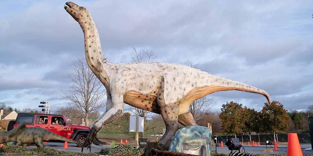 Drive Thru Dinosaur Safari Experience In Cleveland Travelzoo